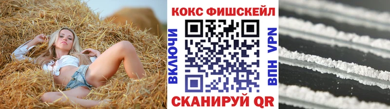 кракен как войти  Карачаевск  COCAIN FishScale  где продают  