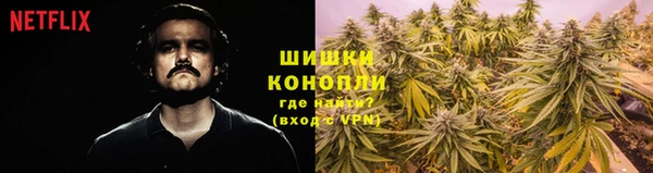 гидра Балахна