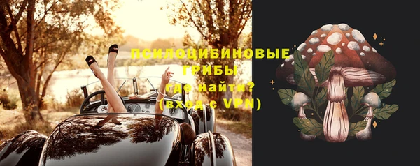 гидра Балахна
