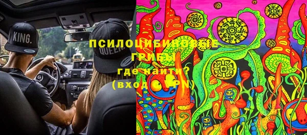 гидра Балахна