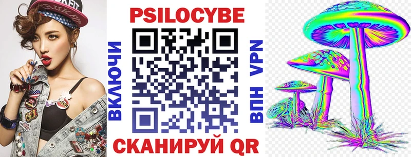 Псилоцибиновые грибы Cubensis  Карачаевск 