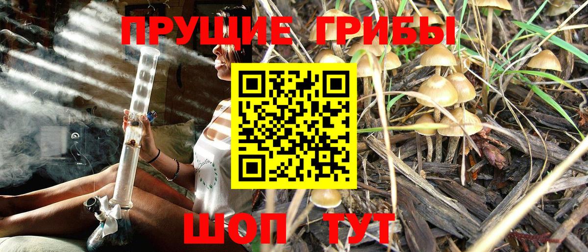Карачаевск  Галлюциногенные грибы мухоморы  Галлюциногенные грибы Cubensis  Вход с VPN 